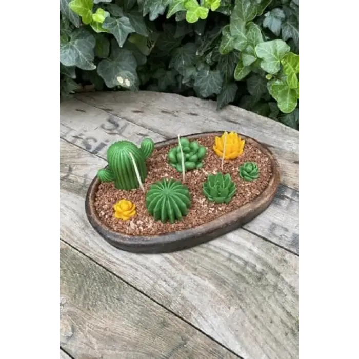 Saguaro Kaktüs Mum Kalıbı (Silikon)