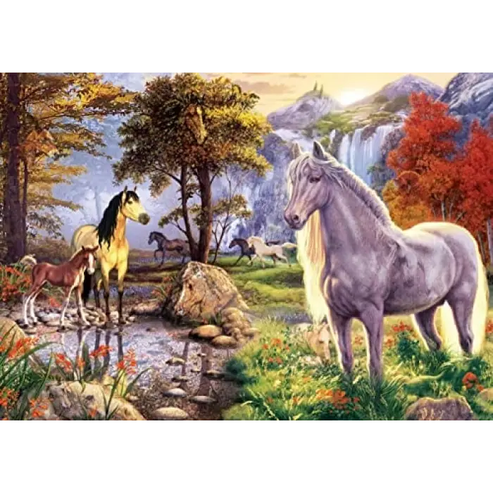 Saklı Atlar 1000 Parça Puzzle