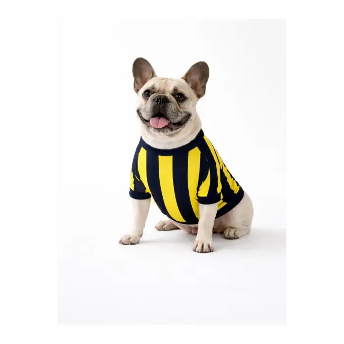 Sarı Lacivert Pet Tshirt