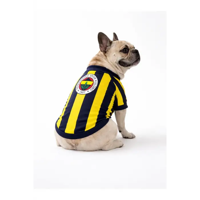 Sarı Lacivert Pet Tshirt