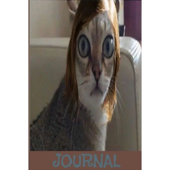 Şaşkın Kedi Günlüğü