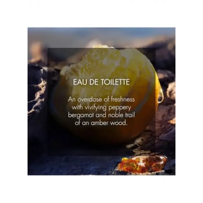 Sauvage Elixir 100 ml Erkek Parfüm