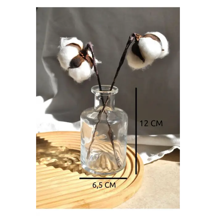 Şeffaf Cam Mini Vazo, 210 ml, 12 cm, 1 Adet