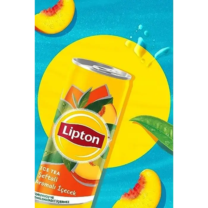 Şeftali Kutu 6x330 ml