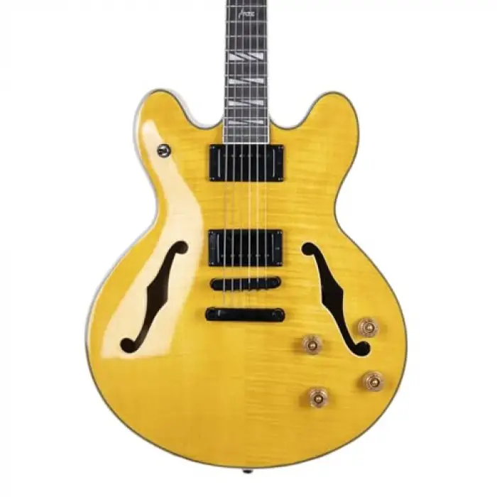 Seg-272N Elektro Gitar