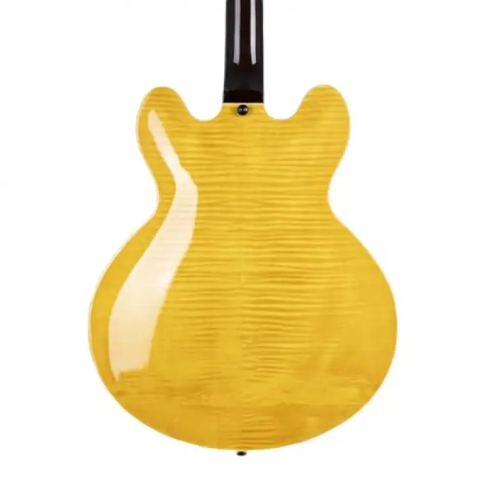 Seg-272N Elektro Gitar