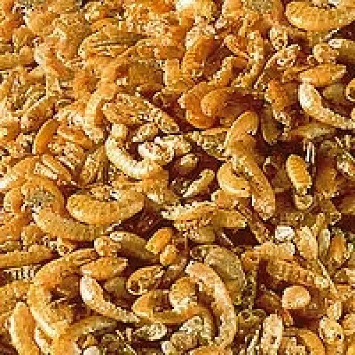Sera Raffy I 100 ml/12 g Kaplumbağa Yemi