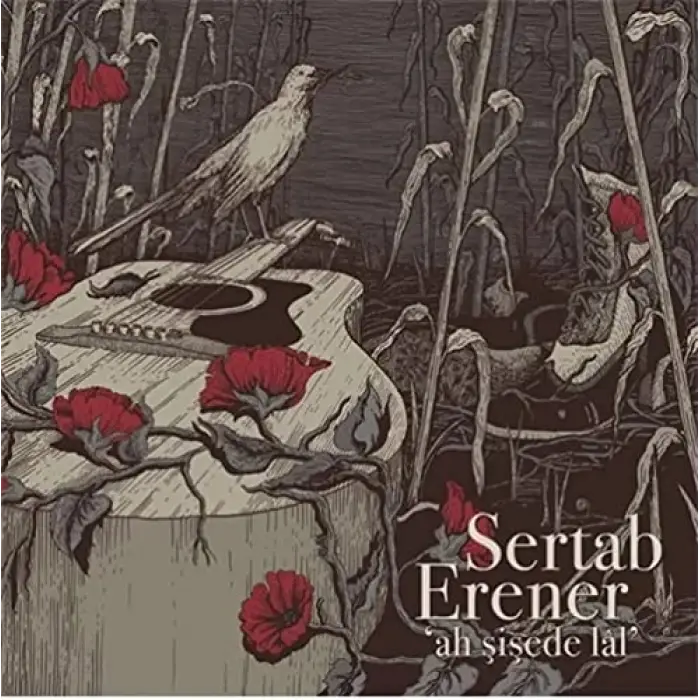 Sertab Erener Ah Şişede Lal Plak