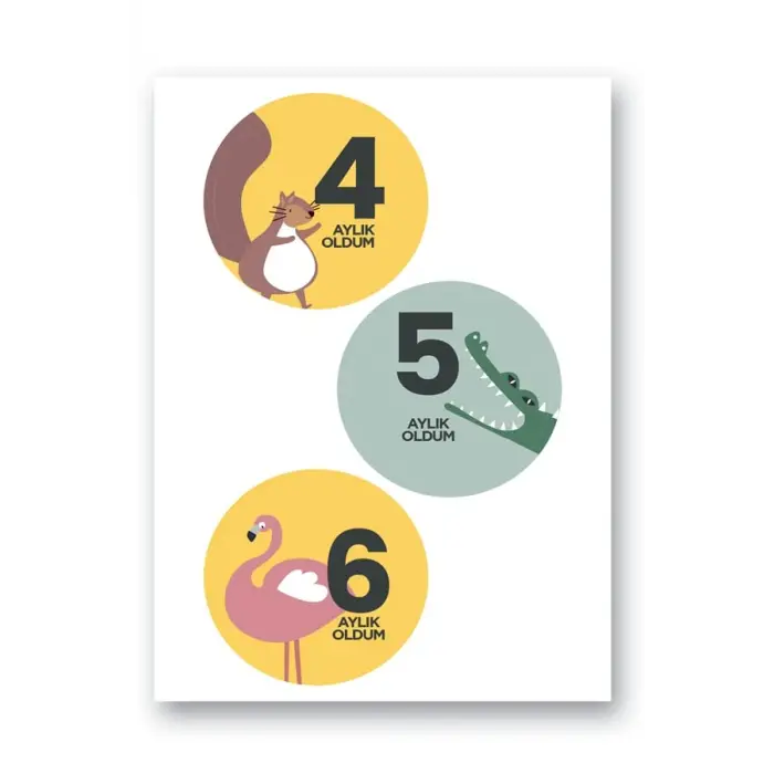Seti Lecolor Bebek Sticker