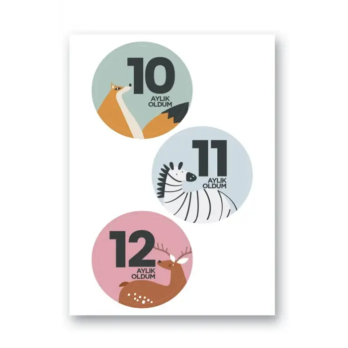 Seti Lecolor Bebek Sticker