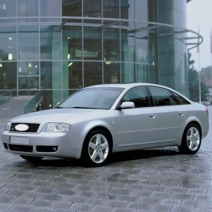 Sol Arka Kapı Cam Açma Düğmesi 4B0959855A Audi A6 ile uyumlu 2002-2005
