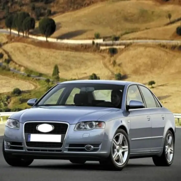 Sol Arka Kapı Cam Açma Düğmesi 8E0959855 Audi A4 B7 ile uyumlu 2005-2008
