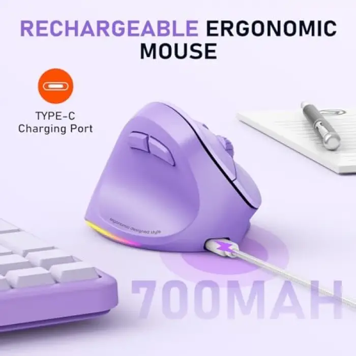 Solak Kablosuz Ergonomik Dikey Fare, Şarj Edilebilir -Mor