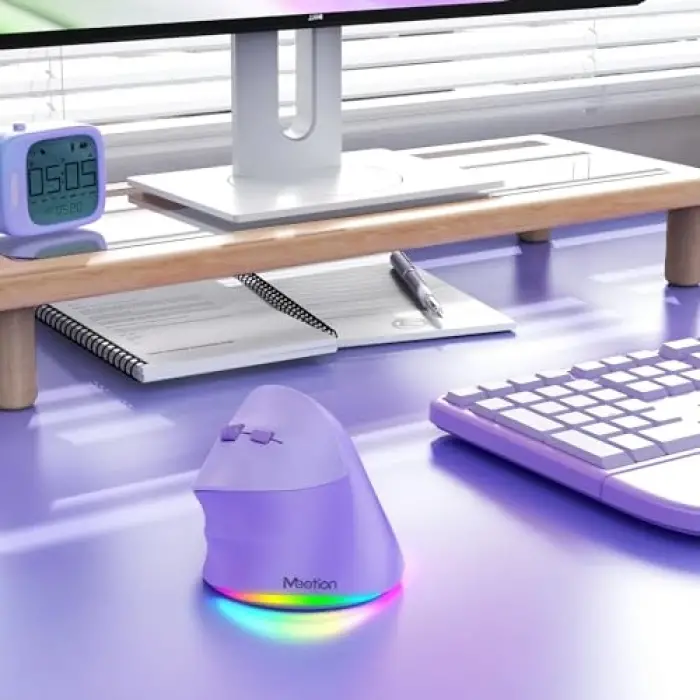 Solak Kablosuz Ergonomik Dikey Fare, Şarj Edilebilir -Mor