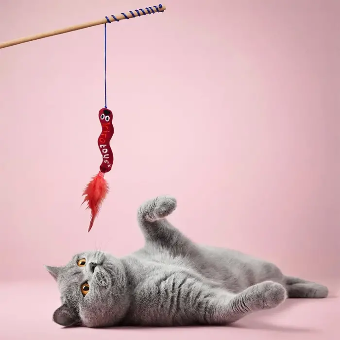 Solucan Olta Peluş Kedi Oyuncağı