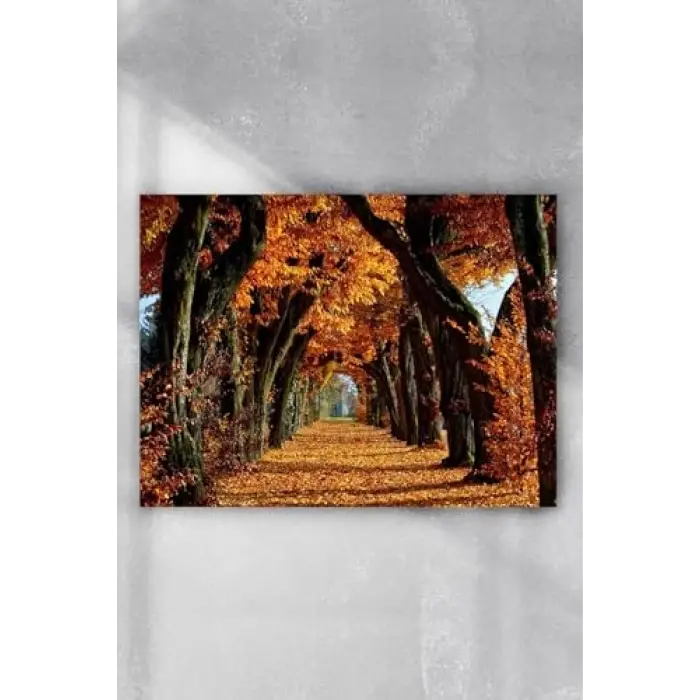 Sonbahar Manzara Poster pster6519