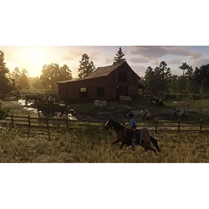 Sony PS4 Red Dead Redemptıon 2 [ ]
