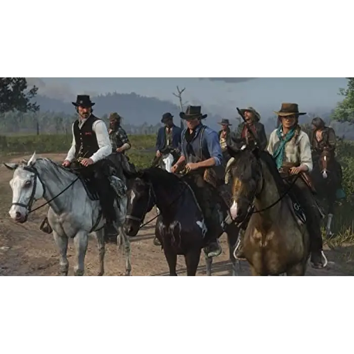 Sony PS4 Red Dead Redemptıon 2 [ ]