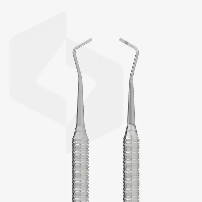 Staleks Expert Çift Uçlu Tırnak Pedikür Aleti PP-10-1