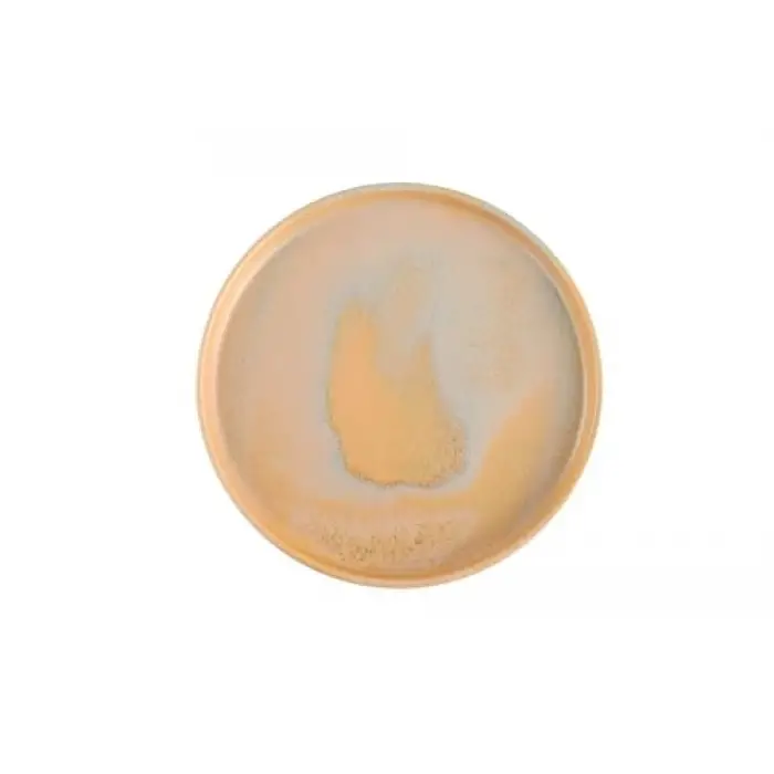 Stoneware Savanna 3 Parça Tek Kişilik Yemek Takımı