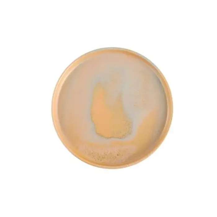 Stoneware Savanna 3 Parça Tek Kişilik Yemek Takımı