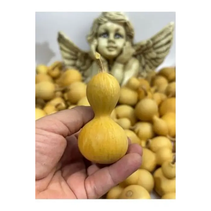 Su Kabağı, 1 Adet