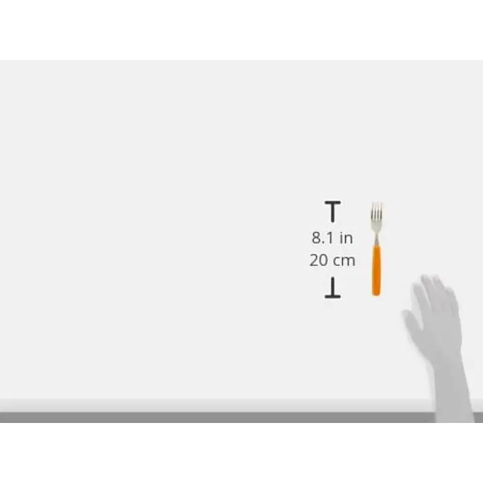 Swiss Classic Ergonomik Saplı Çatal