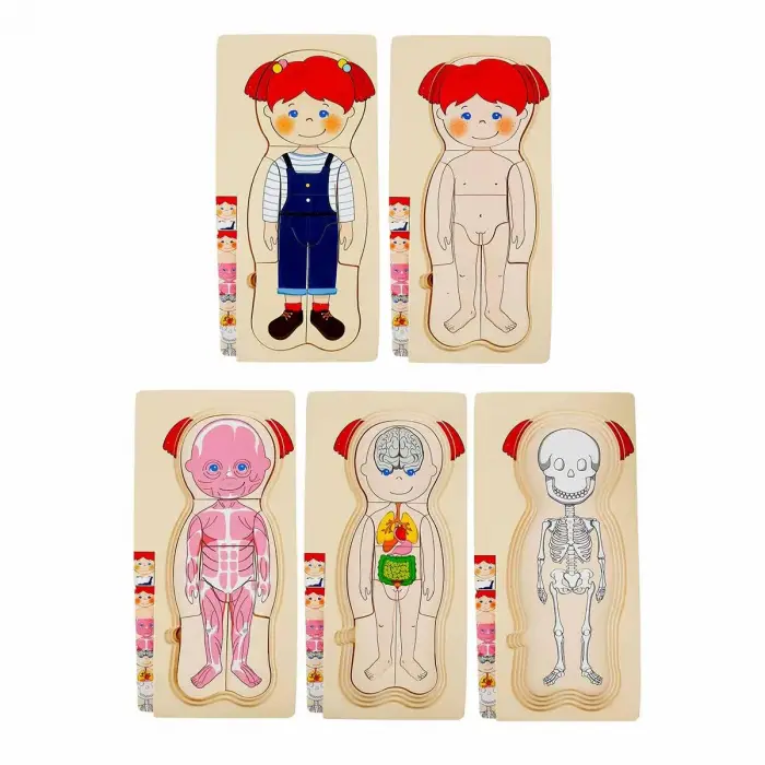 Tahta 4X7 Parça İnsan Vücudu Puzzle