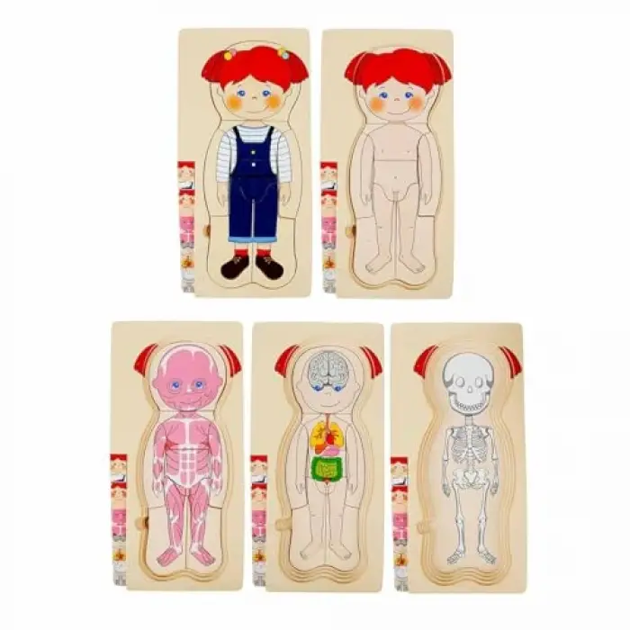 Tahta Puzzle 4X7 Parça insan Vücudu