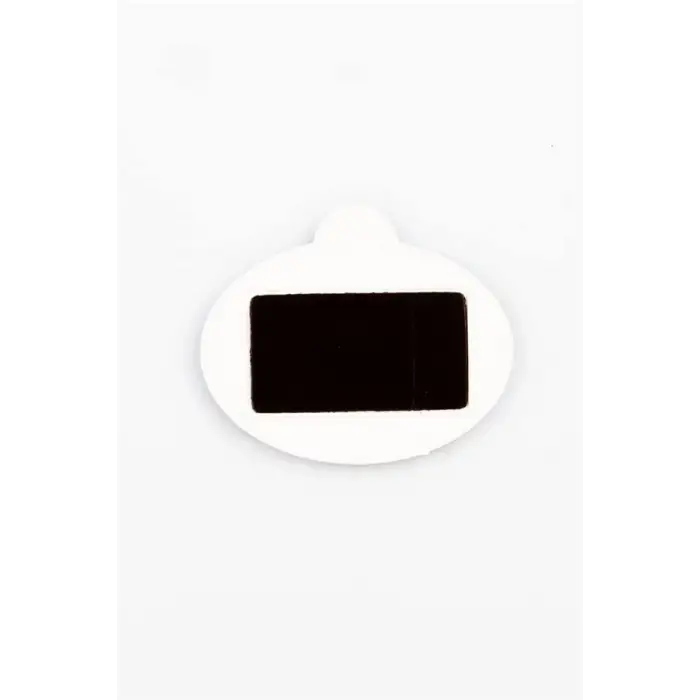 Tayland Buda Temalı Oval Magnet