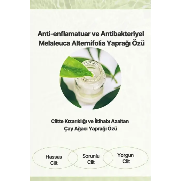 Tea Tree Cilt Bakım Kremi 50 g