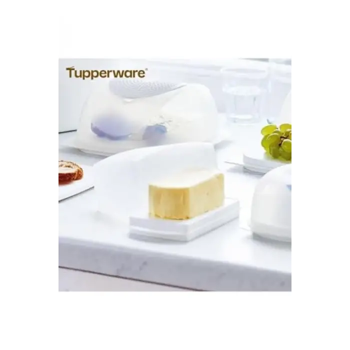 Terayağlık Kar Beyazı