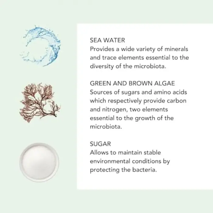 The Micellar Water Misel Su 200 ml