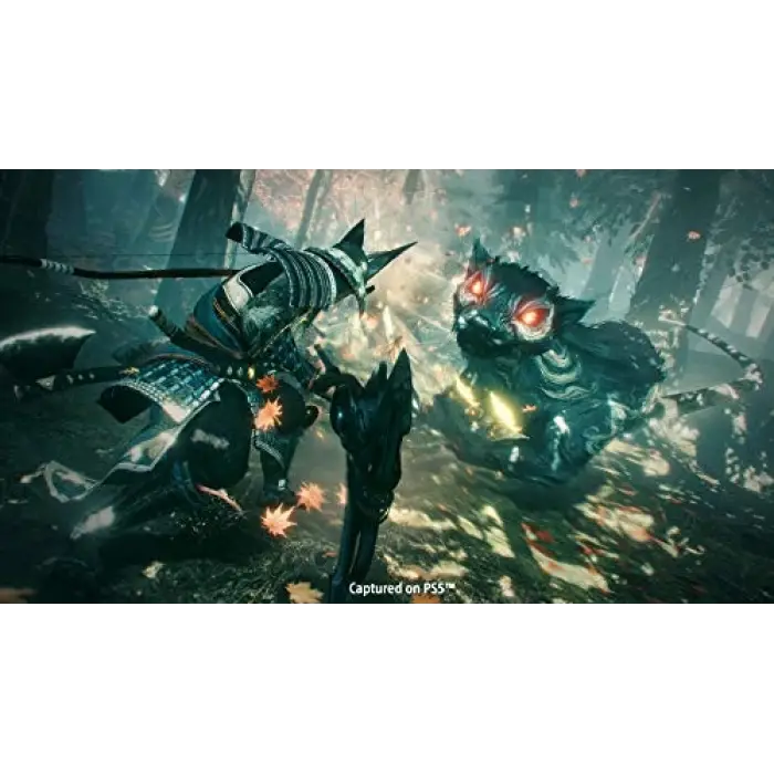 The Nioh Collection, 5