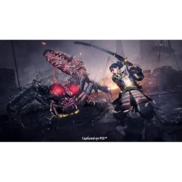 The Nioh Collection, 5