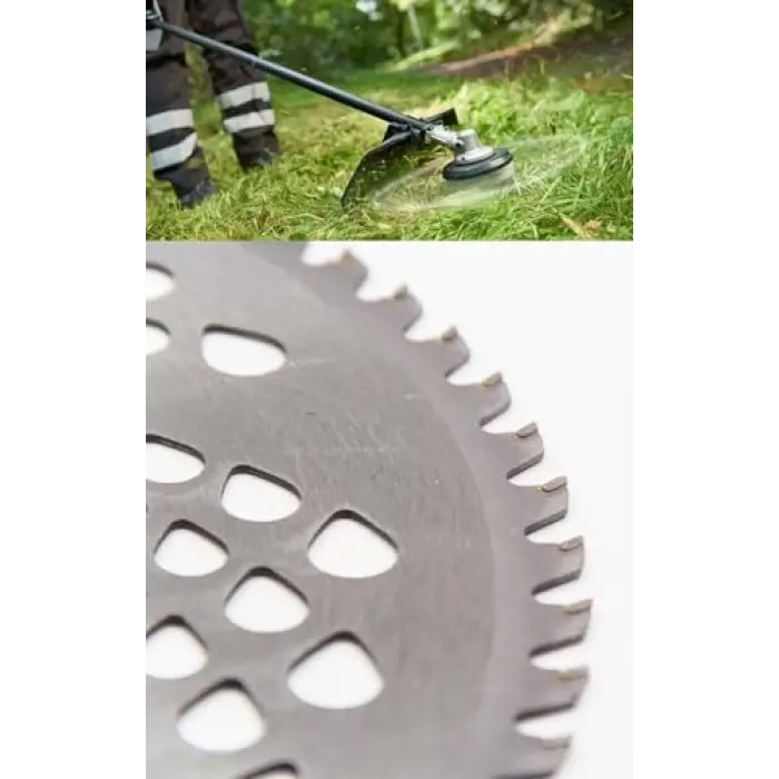 Tırpan Başlığı Disk 60T 255X25.4