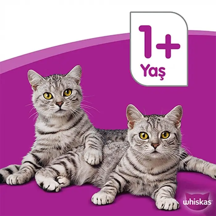 Ton Balıklı Kuru Mama 300 G