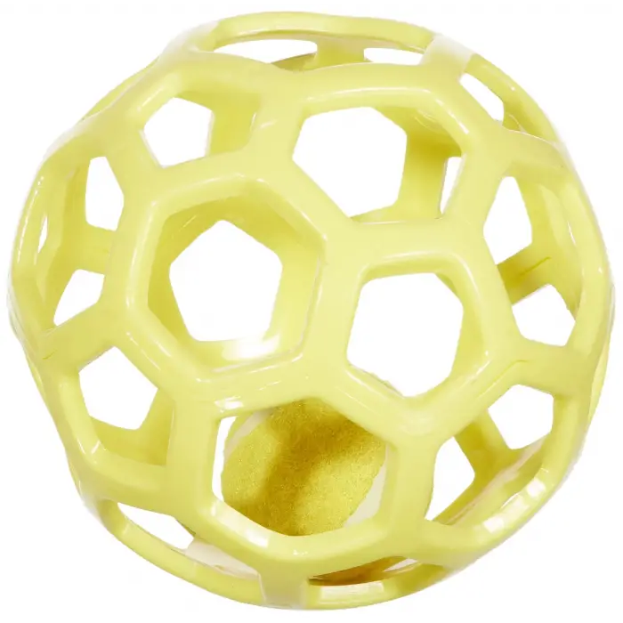 Tpr Caged Ball Köpek Oyuncağı