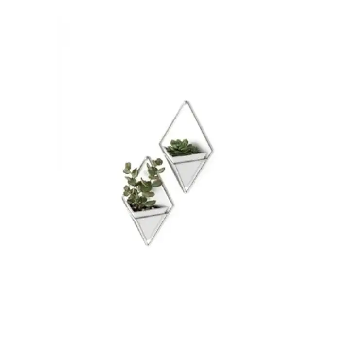 Trigg Duvar Sergisi (2Li Set)