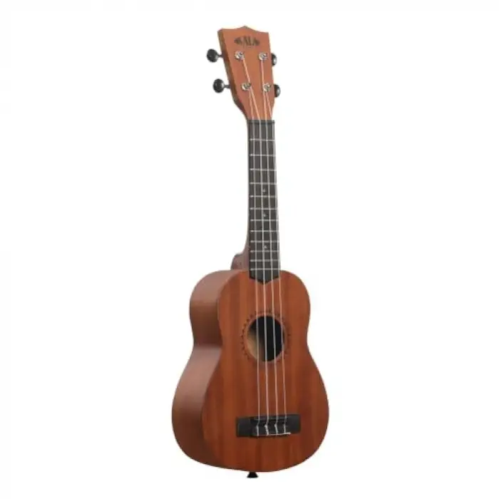 Ukulele Başlangıç Seti