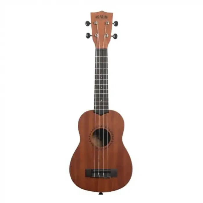 Ukulele Başlangıç Seti