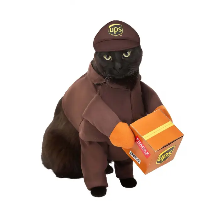 Ups Temalı Köpek Kostümü, Large
