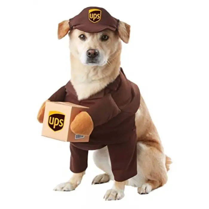 Ups Temalı Köpek Kostümü, Large