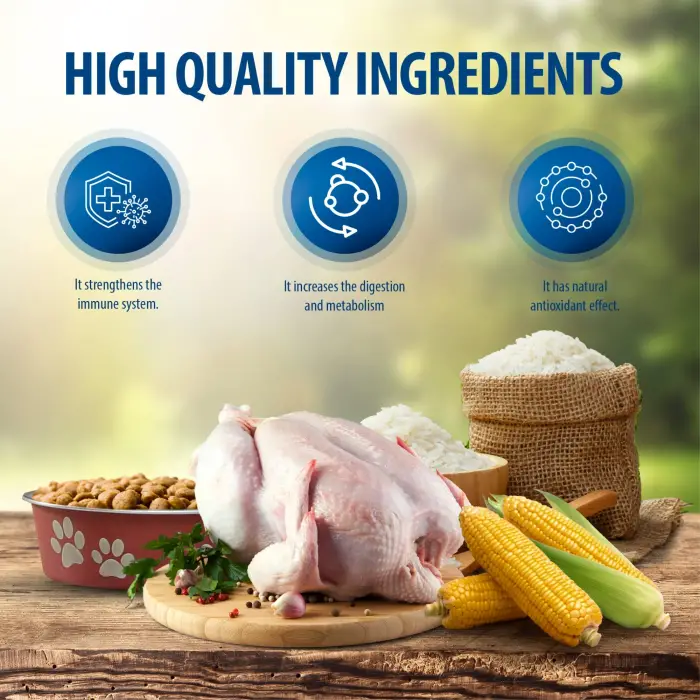 Urinary Tavuklu Kuru Kedi Maması 1,5 Kg