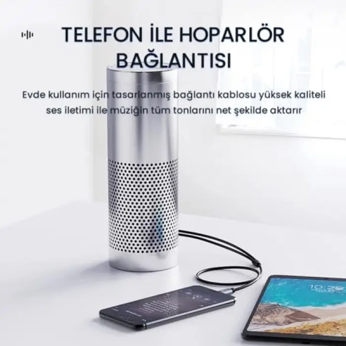 USB Type-C to 2 RCA Ses Kablosu 3 Metre