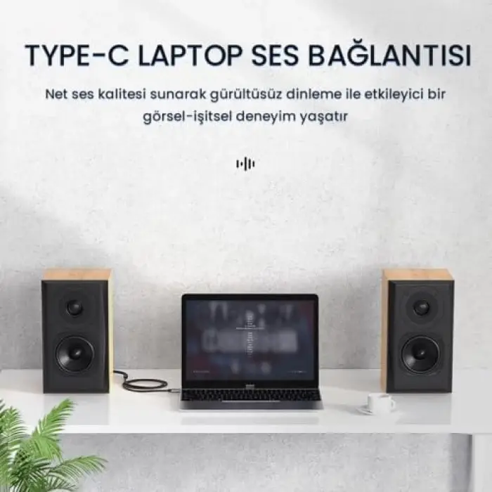 USB Type-C to 2 RCA Ses Kablosu 3 Metre