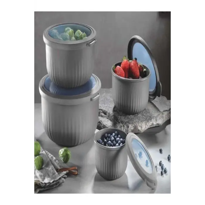 Vakumlu saklama kabı, 4lü, gri