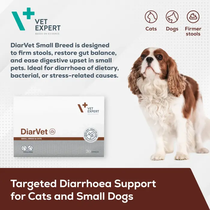 VetExpert DiarVet Small Breed And Cats