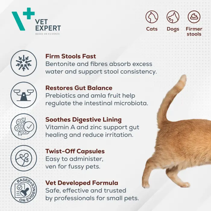 VetExpert DiarVet Small Breed And Cats