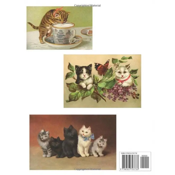 Vintage Kittens Eighteen Cross Stitch Patterns for Dmc Threads